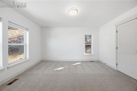 Tiny photo for 1015 Locklin Way, Woodland Park, CO 80863 (MLS # 1666266)