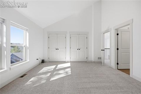 Tiny photo for 1015 Locklin Way, Woodland Park, CO 80863 (MLS # 1666266)