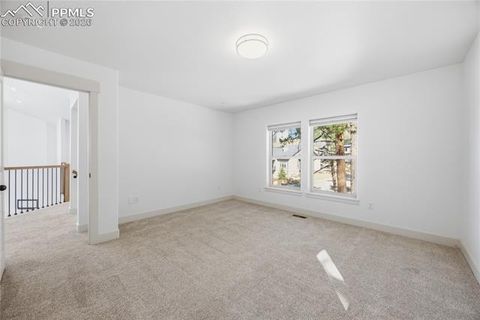 Tiny photo for 1015 Locklin Way, Woodland Park, CO 80863 (MLS # 1666266)