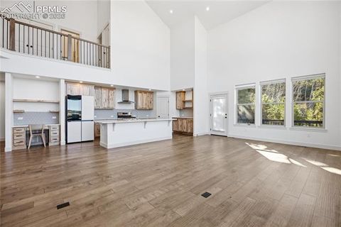 Tiny photo for 1015 Locklin Way, Woodland Park, CO 80863 (MLS # 1666266)