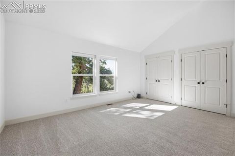 Tiny photo for 1015 Locklin Way, Woodland Park, CO 80863 (MLS # 1666266)