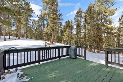 Tiny photo for 4041 Trout Creek Road, Woodland Park, CO 80863 (MLS # 8530016)