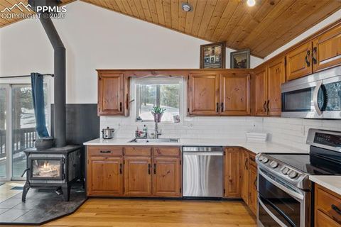 Tiny photo for 4041 Trout Creek Road, Woodland Park, CO 80863 (MLS # 8530016)