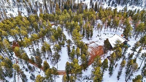 Tiny photo for 4041 Trout Creek Road, Woodland Park, CO 80863 (MLS # 8530016)