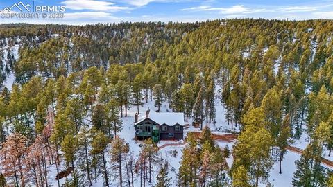 Tiny photo for 4041 Trout Creek Road, Woodland Park, CO 80863 (MLS # 8530016)
