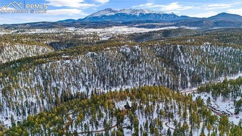 Tiny photo for 4041 Trout Creek Road, Woodland Park, CO 80863 (MLS # 8530016)