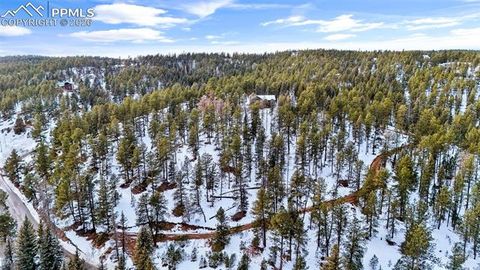 Tiny photo for 4041 Trout Creek Road, Woodland Park, CO 80863 (MLS # 8530016)