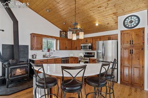 Tiny photo for 4041 Trout Creek Road, Woodland Park, CO 80863 (MLS # 8530016)