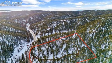 Tiny photo for 4041 Trout Creek Road, Woodland Park, CO 80863 (MLS # 8530016)