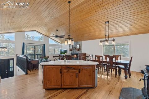 Tiny photo for 4041 Trout Creek Road, Woodland Park, CO 80863 (MLS # 8530016)