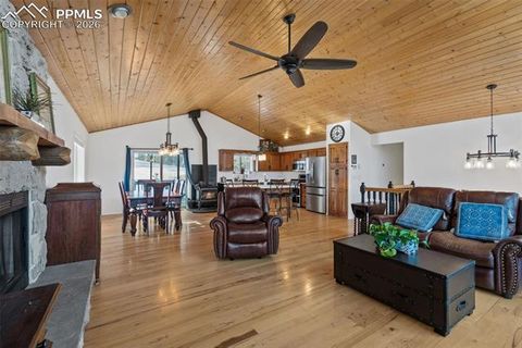 Tiny photo for 4041 Trout Creek Road, Woodland Park, CO 80863 (MLS # 8530016)