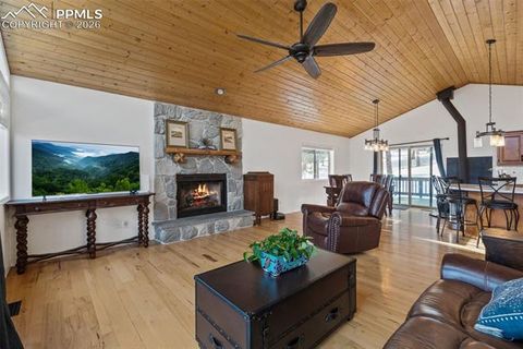 Tiny photo for 4041 Trout Creek Road, Woodland Park, CO 80863 (MLS # 8530016)