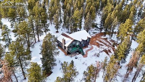 Tiny photo for 4041 Trout Creek Road, Woodland Park, CO 80863 (MLS # 8530016)