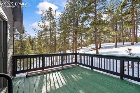 Tiny photo for 4041 Trout Creek Road, Woodland Park, CO 80863 (MLS # 8530016)