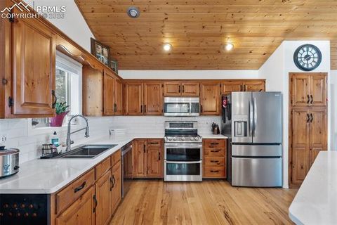 Tiny photo for 4041 Trout Creek Road, Woodland Park, CO 80863 (MLS # 8530016)