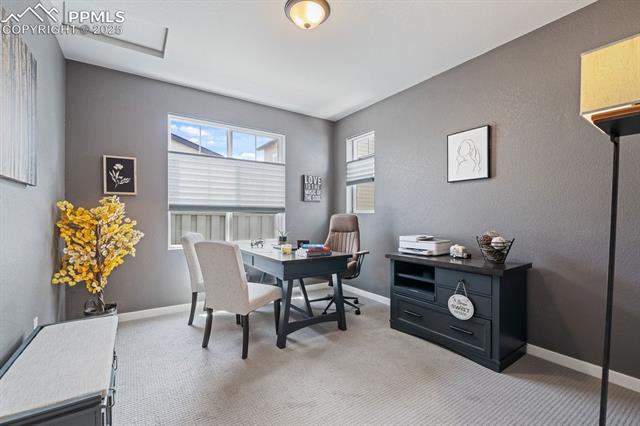 5877 Spring Breeze Drive