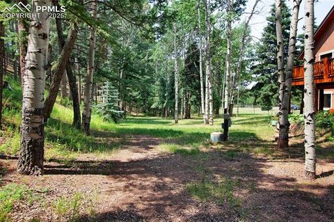 Tiny photo for 111 E Lovell Gulch Road, Woodland Park, CO 80863 (MLS # 2602481)