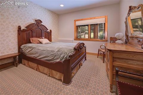 Tiny photo for 111 E Lovell Gulch Road, Woodland Park, CO 80863 (MLS # 2602481)