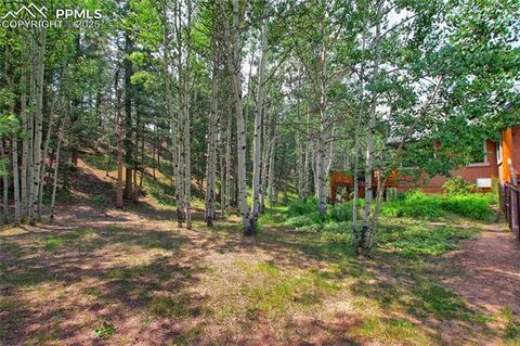 Tiny photo for 111 E Lovell Gulch Road, Woodland Park, CO 80863 (MLS # 2602481)