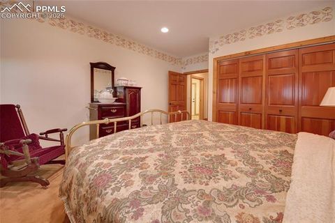 Tiny photo for 111 E Lovell Gulch Road, Woodland Park, CO 80863 (MLS # 2602481)