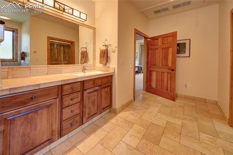 Tiny photo for 111 E Lovell Gulch Road, Woodland Park, CO 80863 (MLS # 2602481)