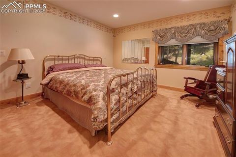 Tiny photo for 111 E Lovell Gulch Road, Woodland Park, CO 80863 (MLS # 2602481)
