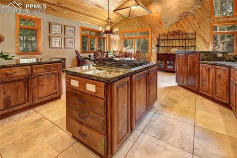 Tiny photo for 111 E Lovell Gulch Road, Woodland Park, CO 80863 (MLS # 2602481)