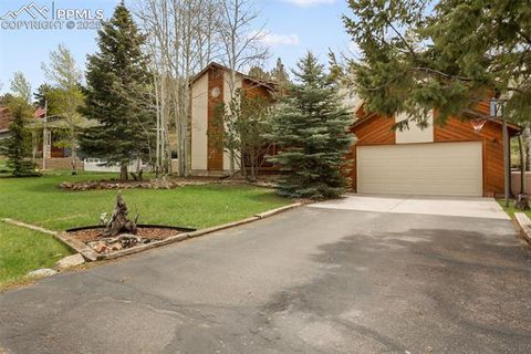 Tiny photo for 1955 Valley View Drive, Woodland Park, CO 80863 (MLS # 6199827)