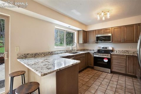 Tiny photo for 1955 Valley View Drive, Woodland Park, CO 80863 (MLS # 6199827)