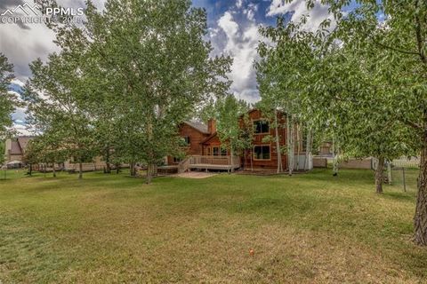 Tiny photo for 1955 Valley View Drive, Woodland Park, CO 80863 (MLS # 6199827)