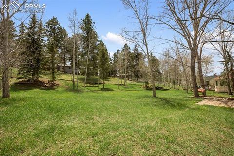 Tiny photo for 1955 Valley View Drive, Woodland Park, CO 80863 (MLS # 6199827)