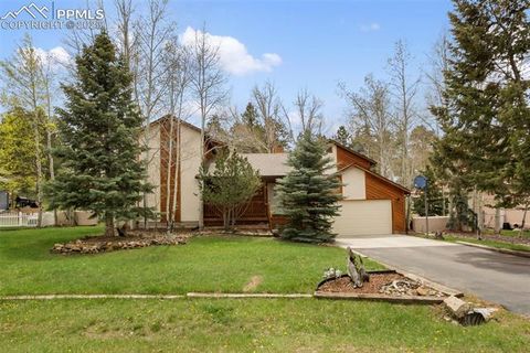 Photo of 1955 Valley View Drive, Woodland Park, CO 80863 (MLS # 6199827)