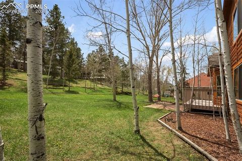 Tiny photo for 1955 Valley View Drive, Woodland Park, CO 80863 (MLS # 6199827)