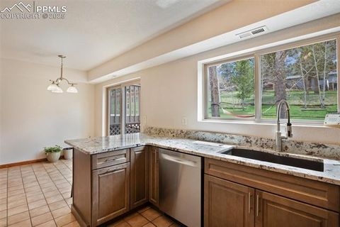 Tiny photo for 1955 Valley View Drive, Woodland Park, CO 80863 (MLS # 6199827)