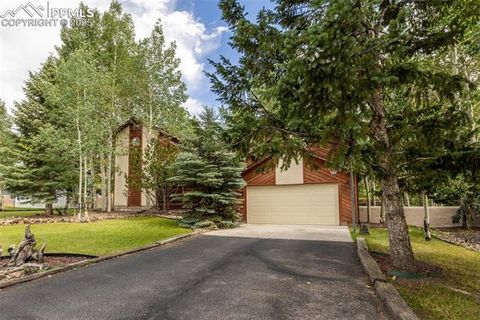 Tiny photo for 1955 Valley View Drive, Woodland Park, CO 80863 (MLS # 6199827)