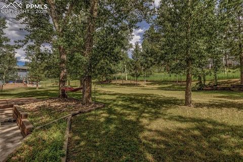 Tiny photo for 1955 Valley View Drive, Woodland Park, CO 80863 (MLS # 6199827)