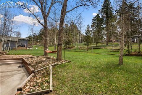 Tiny photo for 1955 Valley View Drive, Woodland Park, CO 80863 (MLS # 6199827)