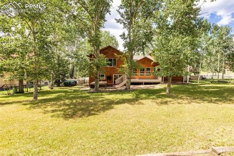 Tiny photo for 1955 Valley View Drive, Woodland Park, CO 80863 (MLS # 6199827)