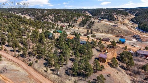 Tiny photo for 487 Maroon Lake Circle, Divide, CO 80814 (MLS # 3480524)