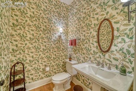 Tiny photo for 1810 Brantfeather Grove, Colorado Springs, CO 80906 (MLS # 3102781)