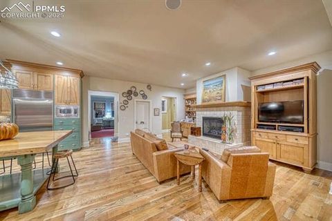 Tiny photo for 1810 Brantfeather Grove, Colorado Springs, CO 80906 (MLS # 3102781)