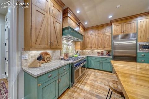 Tiny photo for 1810 Brantfeather Grove, Colorado Springs, CO 80906 (MLS # 3102781)