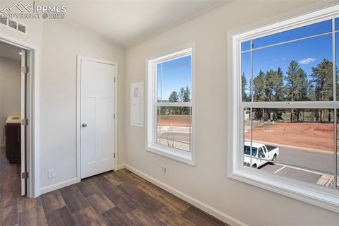 Tiny photo for 1306 Calm Mountain Point, Woodland Park, CO 80863 (MLS # 2085322)