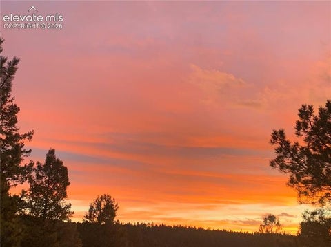 Tiny photo for 161 Wahsatch Road, Florissant, CO 80816 (MLS # 3894136)