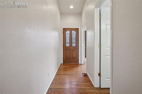 Tiny photo for 14318 Peaceful Glen Grove, Colorado Springs, CO 80921 (MLS # 9081707)