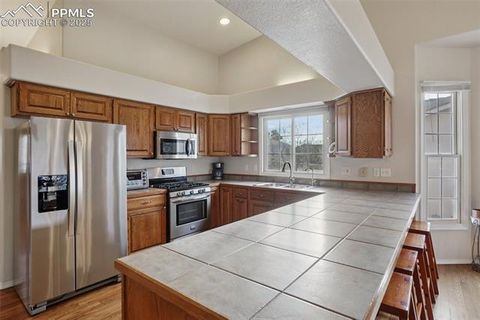 Tiny photo for 14318 Peaceful Glen Grove, Colorado Springs, CO 80921 (MLS # 9081707)