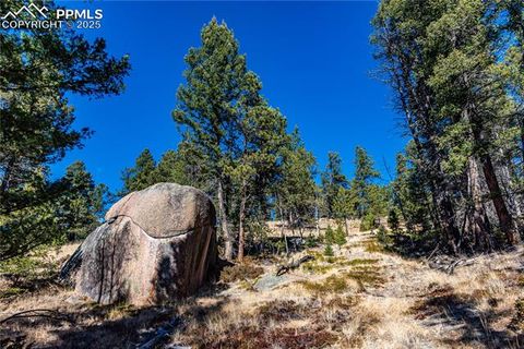 Photo of TBD Arrowhead Road, Florissant, CO 80816 (MLS # 9318971)