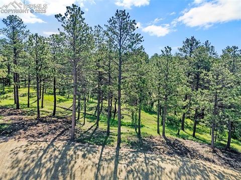 Photo of 14531 Quartz Creek Drive, Colorado Springs, CO 80908 (MLS # 6070855) Photo of 14531 Quartz Creek Drive, Colorado Springs, CO 80908 (MLS # 6070855)