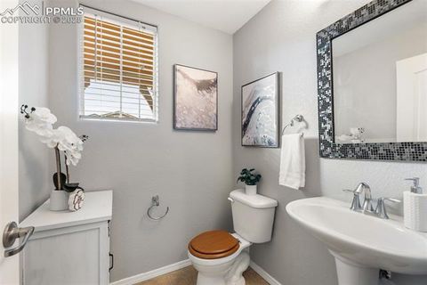 Tiny photo for 199 Millstream Terrace, Colorado Springs, CO 80905 (MLS # 8072946)