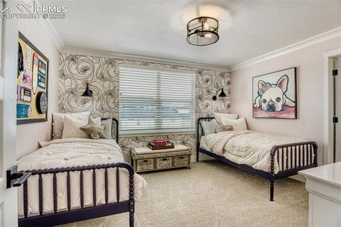 Tiny photo for 6411 Tumble Creek Drive, Colorado Springs, CO 80924 (MLS # 9769943)